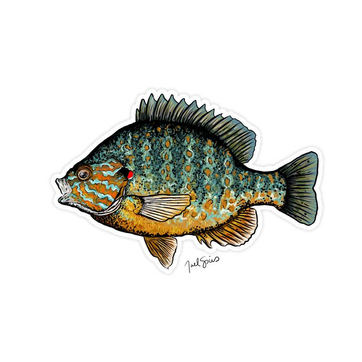 Pumpkinseed Decal for wholesale by BruleBay