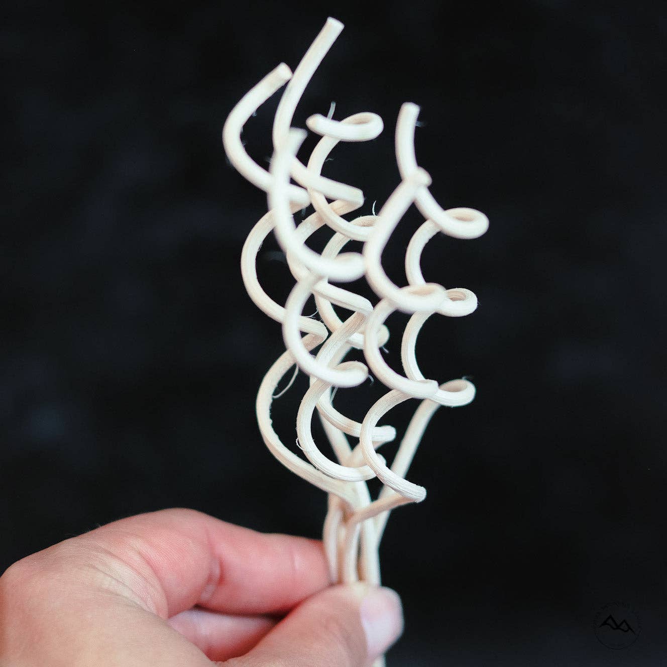 Cedar Mountain Candle - Wholesale Fragrance Oil - Diffuser Refill Oil Base - 8 oz - Choose Your Scent3