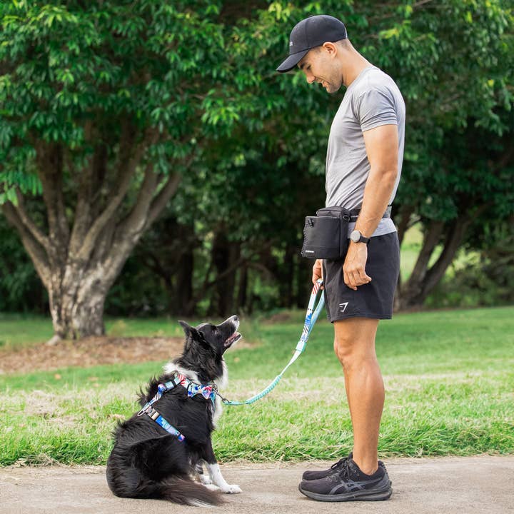 Black Train n' Treat Pouch for wholesale on Faire6