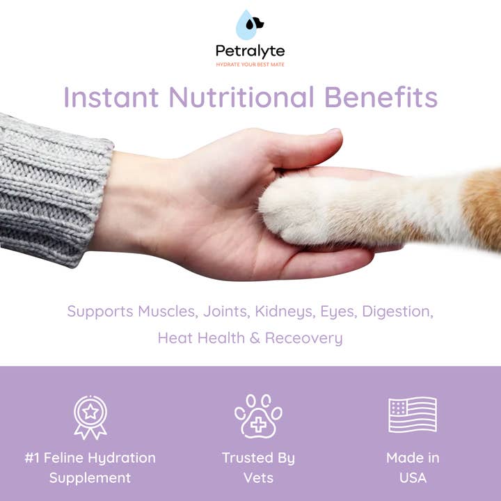 Petralyte - Wholesale Pet Supplement - Cat - Cat Electrolyte and Joint Supplement | Salmon Lovers