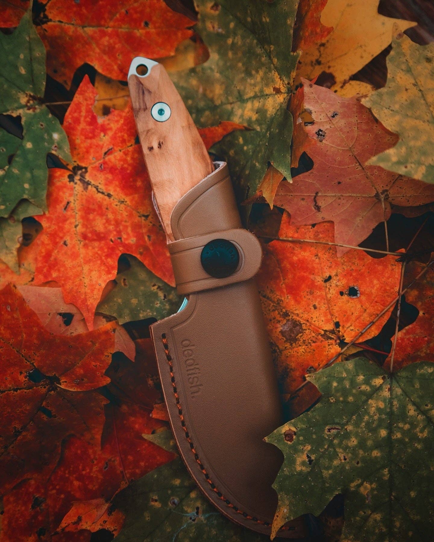 BattlBox - Wholesale Pocket Knife/Holder - Dedfish Co McCrea Stainless Steel Fixed Blade Belt Knife EDC9