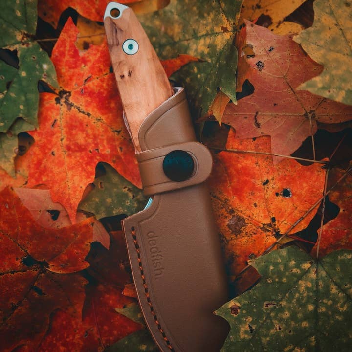 BattlBox - Wholesale Pocket Knife/Holder - Dedfish Co McCrea Stainless Steel Fixed Blade Belt Knife EDC9