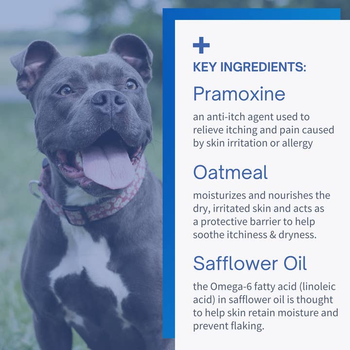 SensoVet - Wholesale Pet Spray - Cat/Dog - Pramoxine Anti Itch & Allergy Spray for Dogs & Cats - 8oz3