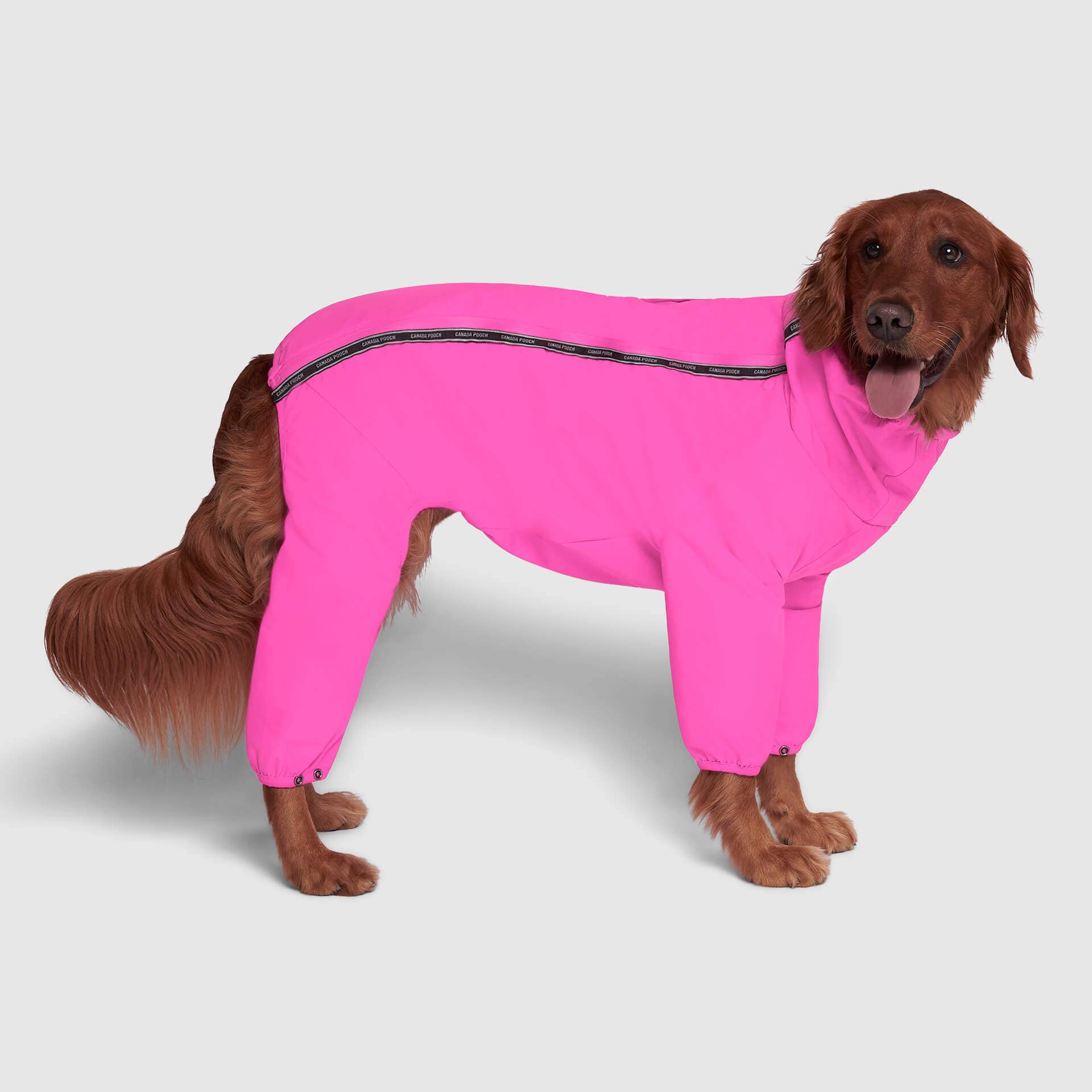 Canada Pooch - Wholesale Pet Bodysuit - Cat/Dog - The Snow Suit- Dog Suit8