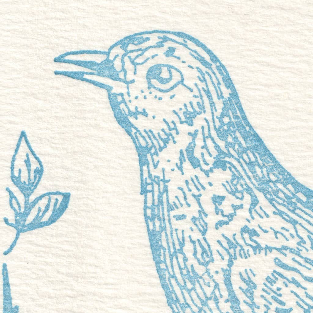 Saturn Press - Vente Assortiments de papeterie/cartes - Rossignol2