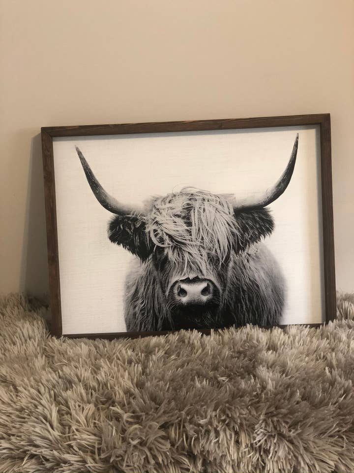 Tableau de la vache des Highlands en noir et blanc pour la vente par Bauer Co.