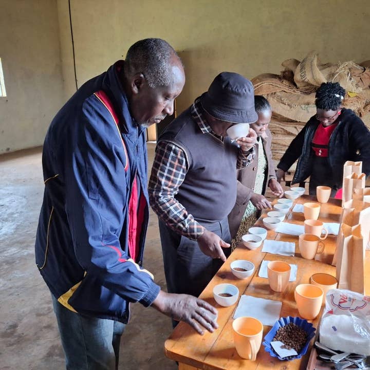 East One Coffee Roasters - Wholesale Coffee Beans - Thunguri 1