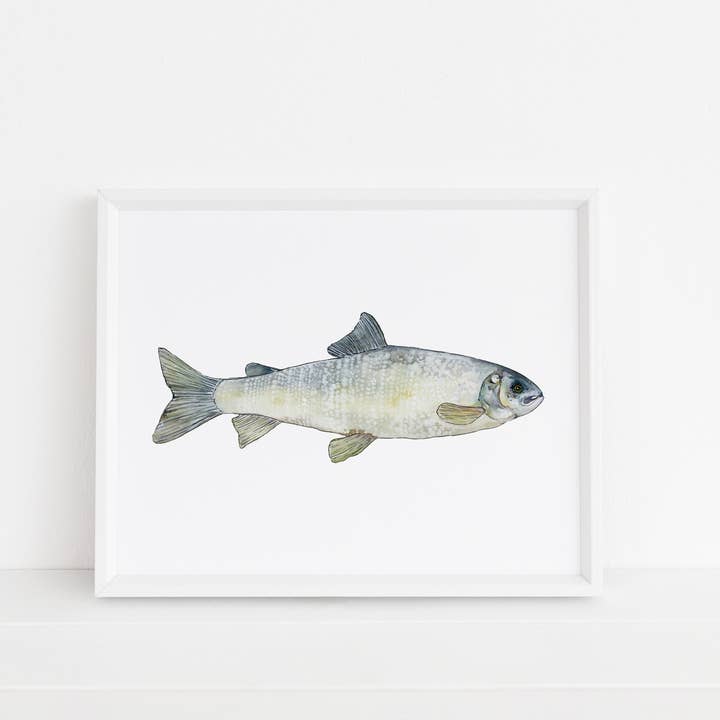 Whitefish Print for wholesale by Jennie Kilcup Watercolors
