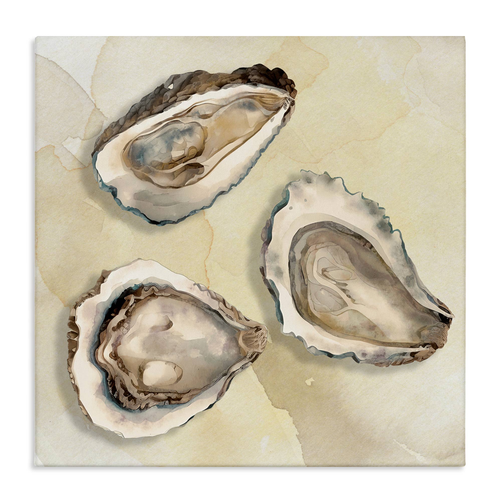 Stupell Industries - Wholesale Wall Sign - Beige Oyster Trio - Unframed Wall Art8