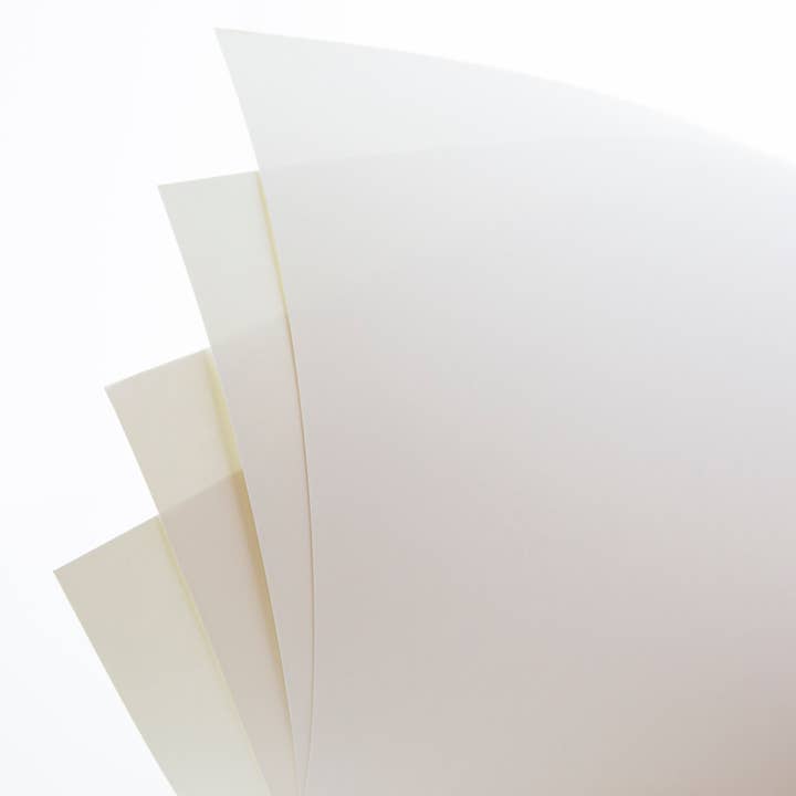BAZIC Products - Wholesale Poster Board - 11" X 14" White Poster Board (5/Pack)1