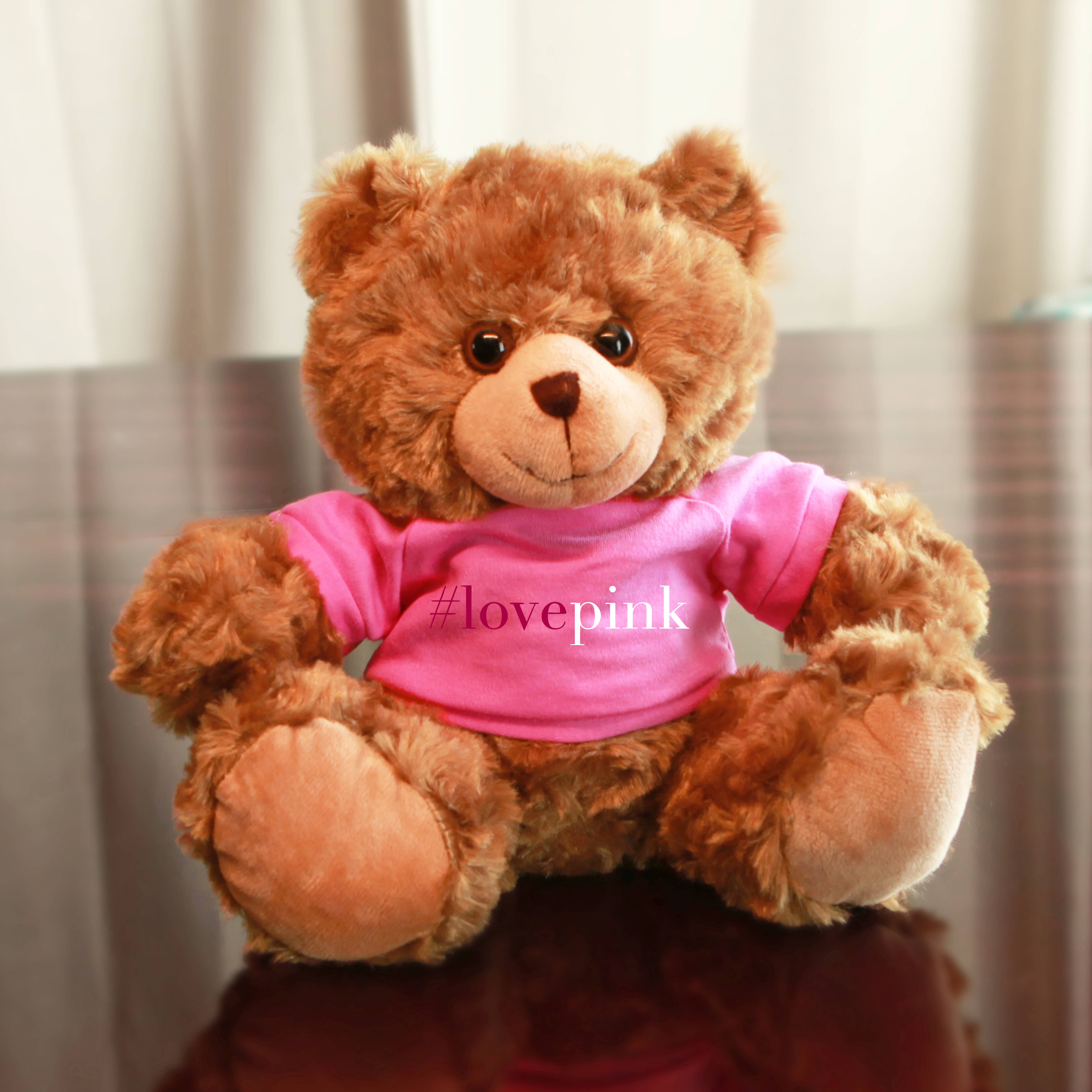Mocha bear Pink Love 6" and 11" for wholesale by Plushland