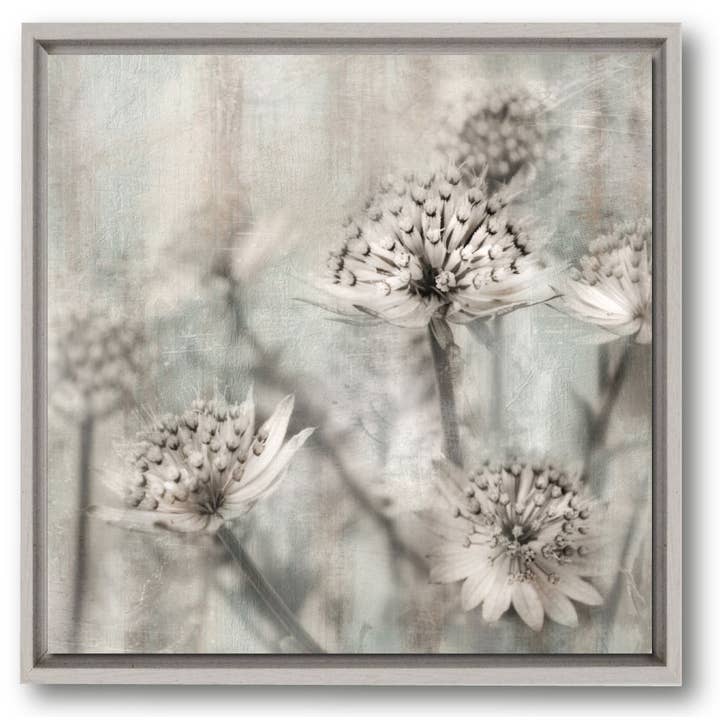 White Flower Ii Canvas with Float Moulding for wholesale by Courtside Market