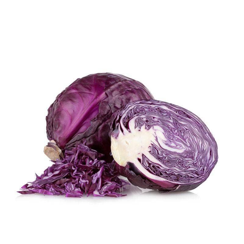Bentley Seed Co. - Wholesale Plant Seeds - Cabbage-Red Acre 18602