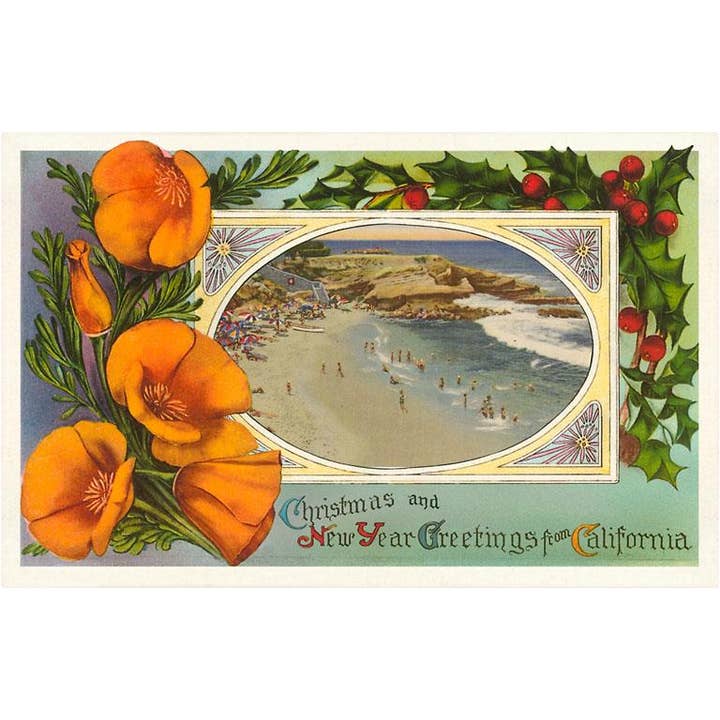 Cartolina CC-52 La Jolla Cove, Papaveri, Agrifoglio per la vendita all'ingrosso da parte di Found Image Press