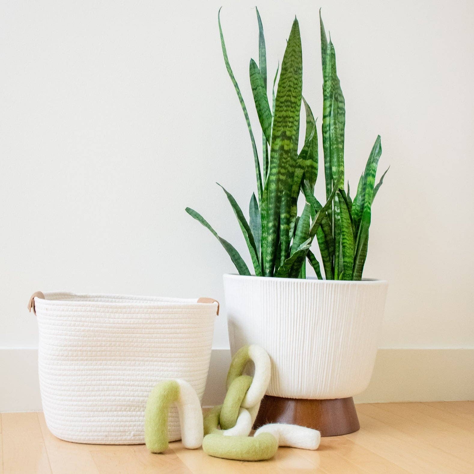 Awoo - Vendita all'ingrosso Giocattolo da masticare - Cani - Gioco a catena in feltro8