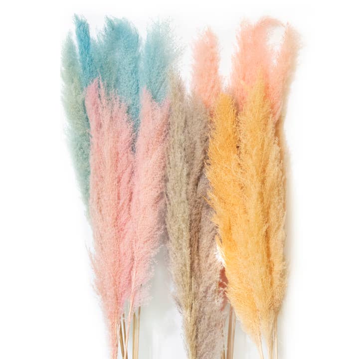 Andaluca - Wholesale Dried/Pressed Flowers - Pampas Grass 45" Bundles