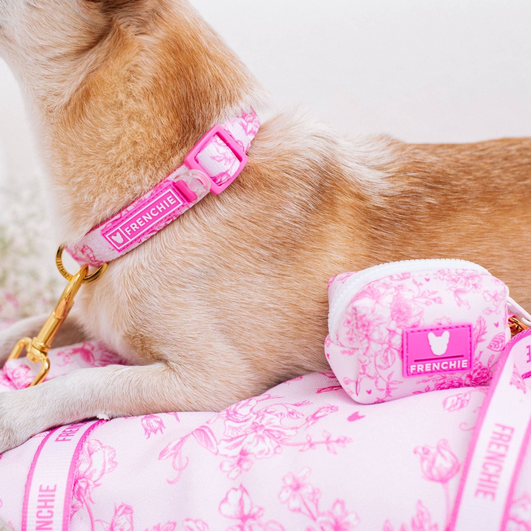 Frenchie - Vendita all'ingrosso Collare - Cani - Collare Frenchie Comfort - Toile - Rosa1