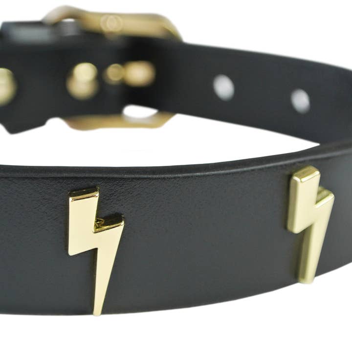 eye of dog - Wholesale Pet Collar - Dog - Lightning Bolt Collar