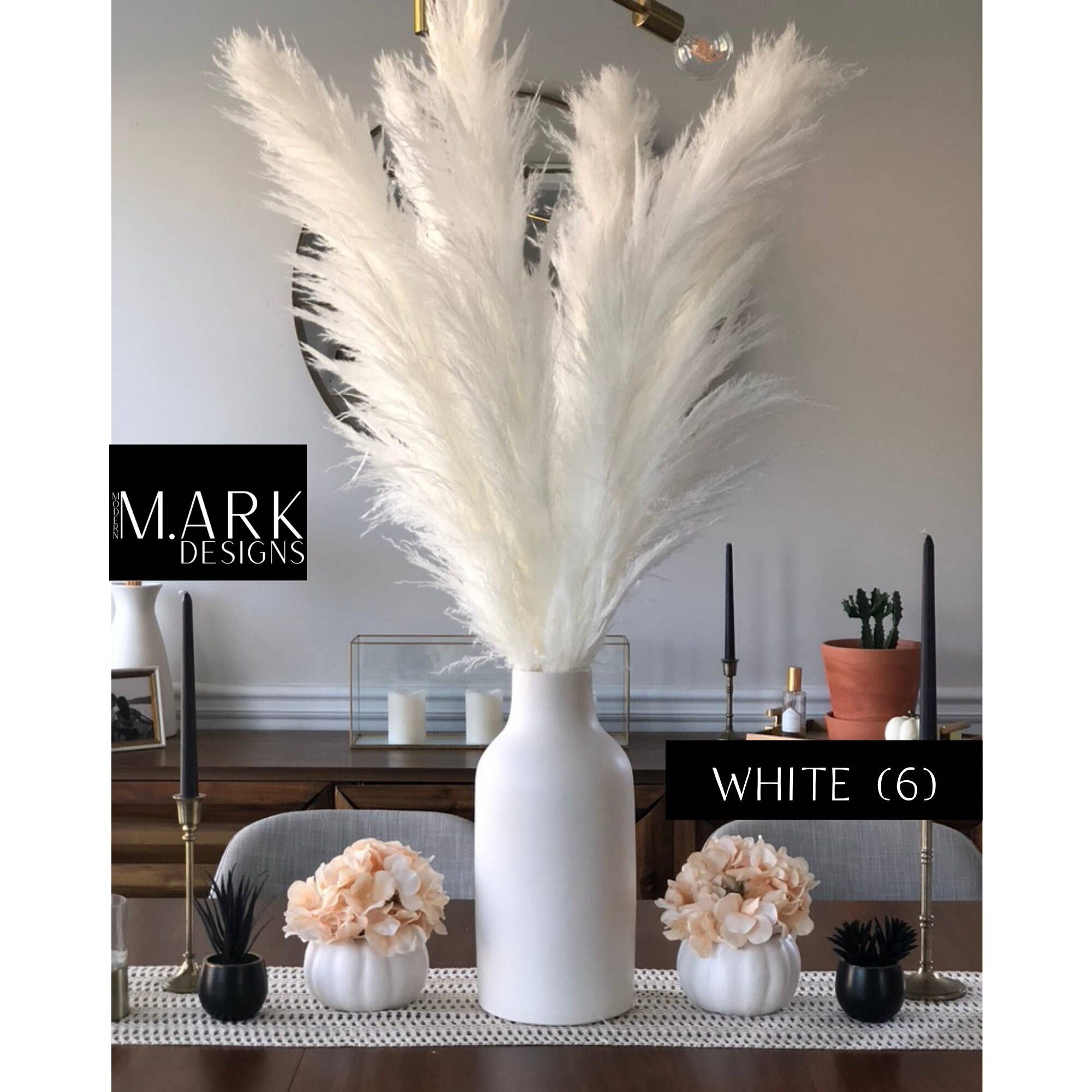 Modern Ark Designs - Wholesale Dried/Pressed Flowers - Fluffy Pampas Grass Stems Extra Large Pampas Grass4
