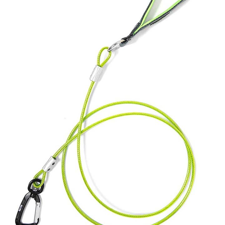 Mighty Paw - Vente Laisse – chien - Laisse de câble anti-mâcher de 6 po0