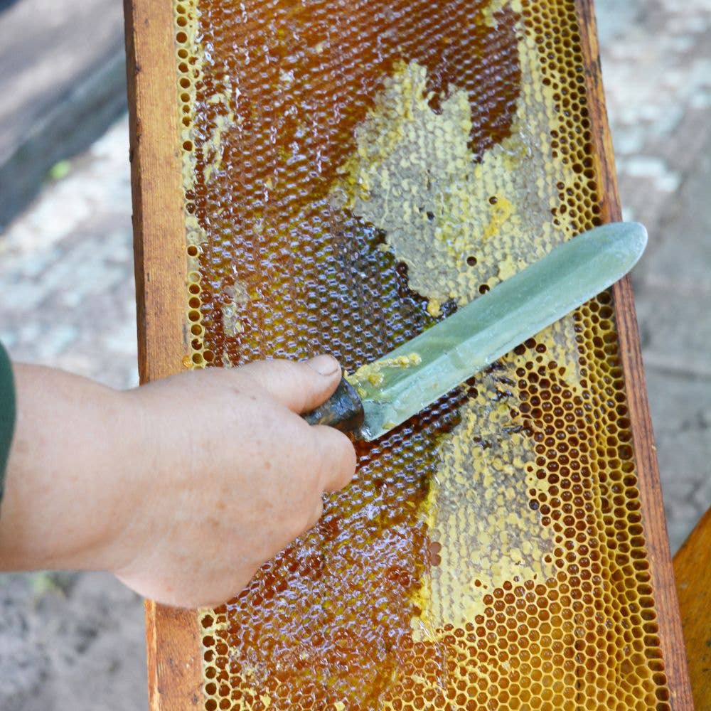 L'ABELLA MIEL - Vendita all'ingrosso Miele - Miele di lavanda L'Abellamel 500G2