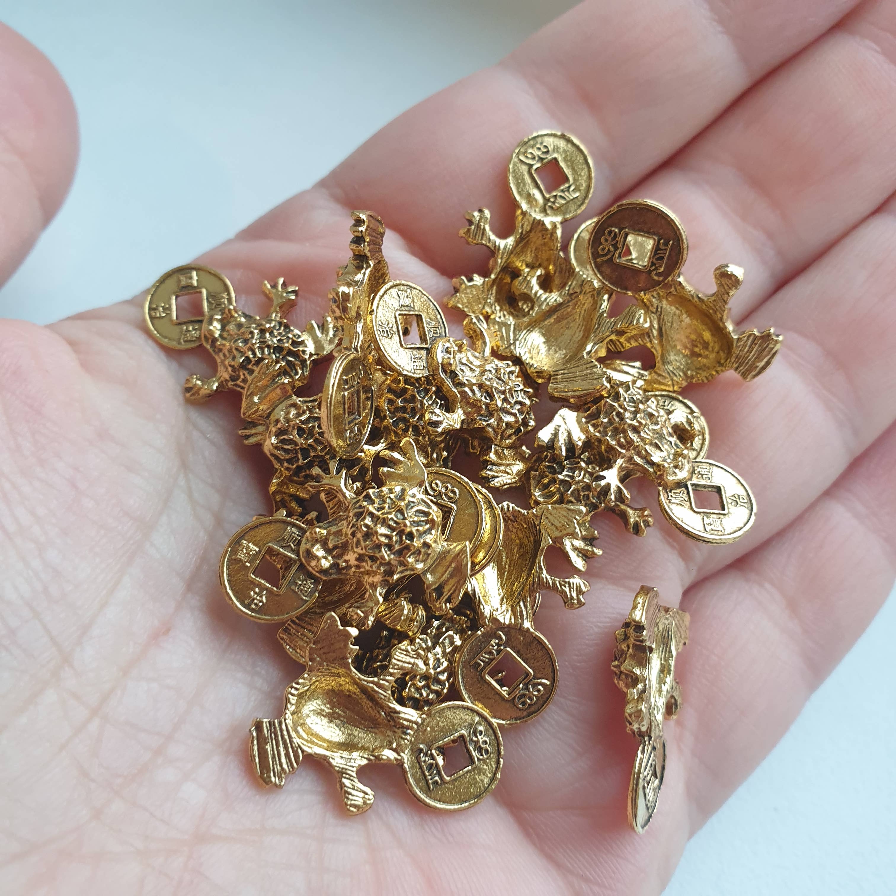 AmberLithuania – Moeda colecionável por atacado – sapo de dinheiro sapo walet2