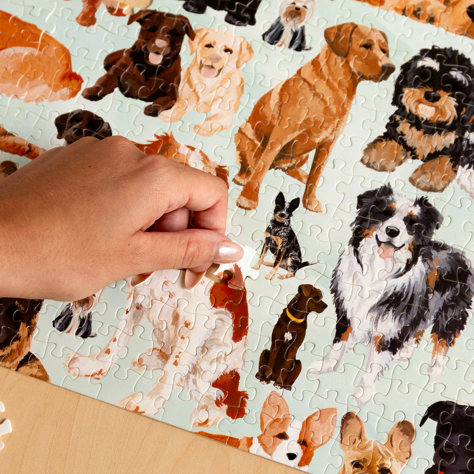 1canoe2 | One Canoe Two Paper Co. - Wholesale Puzzle - Adult - Furry Friends - 1,000 Piece Dogs Jigsaw Puzzle6