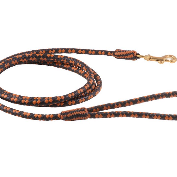 Alvalley - Wholesale Pet Leash - Dog - Braided Leather Snap Leads61