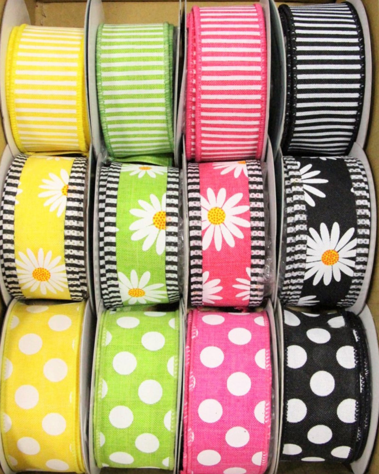 Thompson Wholesale - Vente Ruban – emballage cadeau - Ruban câblé à rayures marguerite 1,5" -- Pack de 121