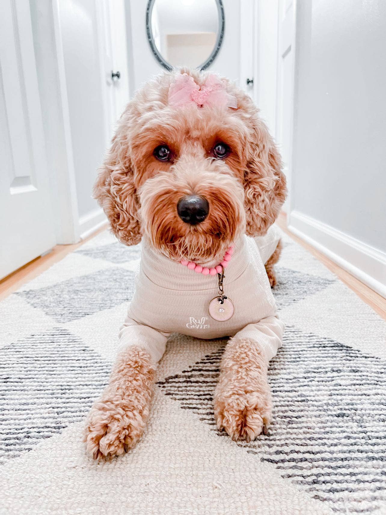 Ruff Gems Co - Wholesale Pet Shirt - Dog - Ultra Comfortable Luxury Dog Ribbed Stretch T Shirt12