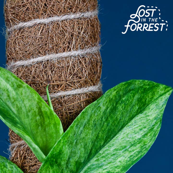 Lost in the Forrest – wholesale Garden tool – LITF Stackable Coir Pole