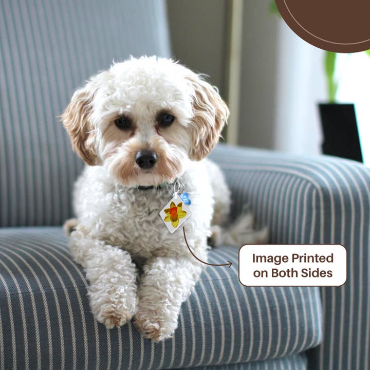 3dRose - Wholesale Keychain - Unisex - 3dRose, Spring Daffodil Vector Isolated, Key Chain1