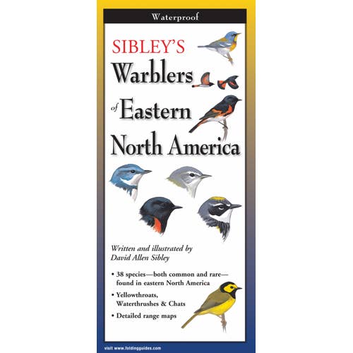 Sibley's Warblers of Eastern N. America for wholesale by Earth Sky + Water
