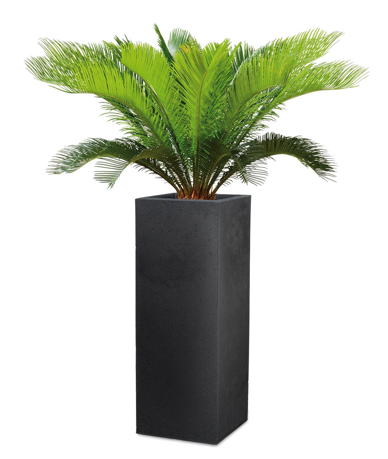 Scheurich - Wholesale Plant Pot - C-Cube High 240 plastic flower pot/planter6