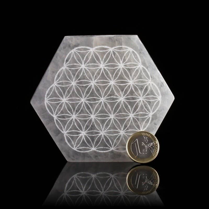 UniArt - Wholesale Ornament - Hexagonal selenite plate4