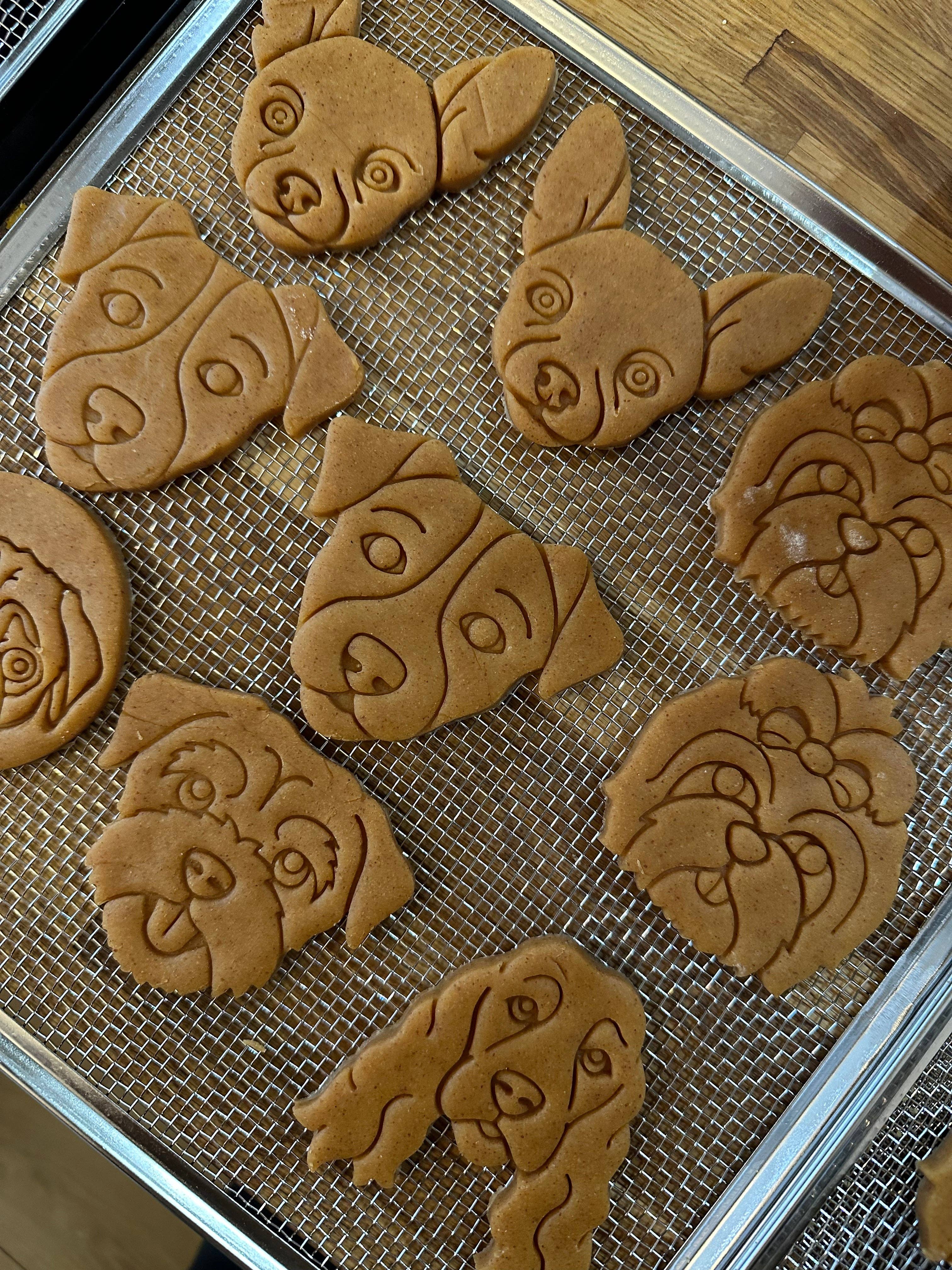 The Dog Shack - Vente Biscuits – chien - Biscuits pour chiens en forme de beurre de cacahuète sans céréales44