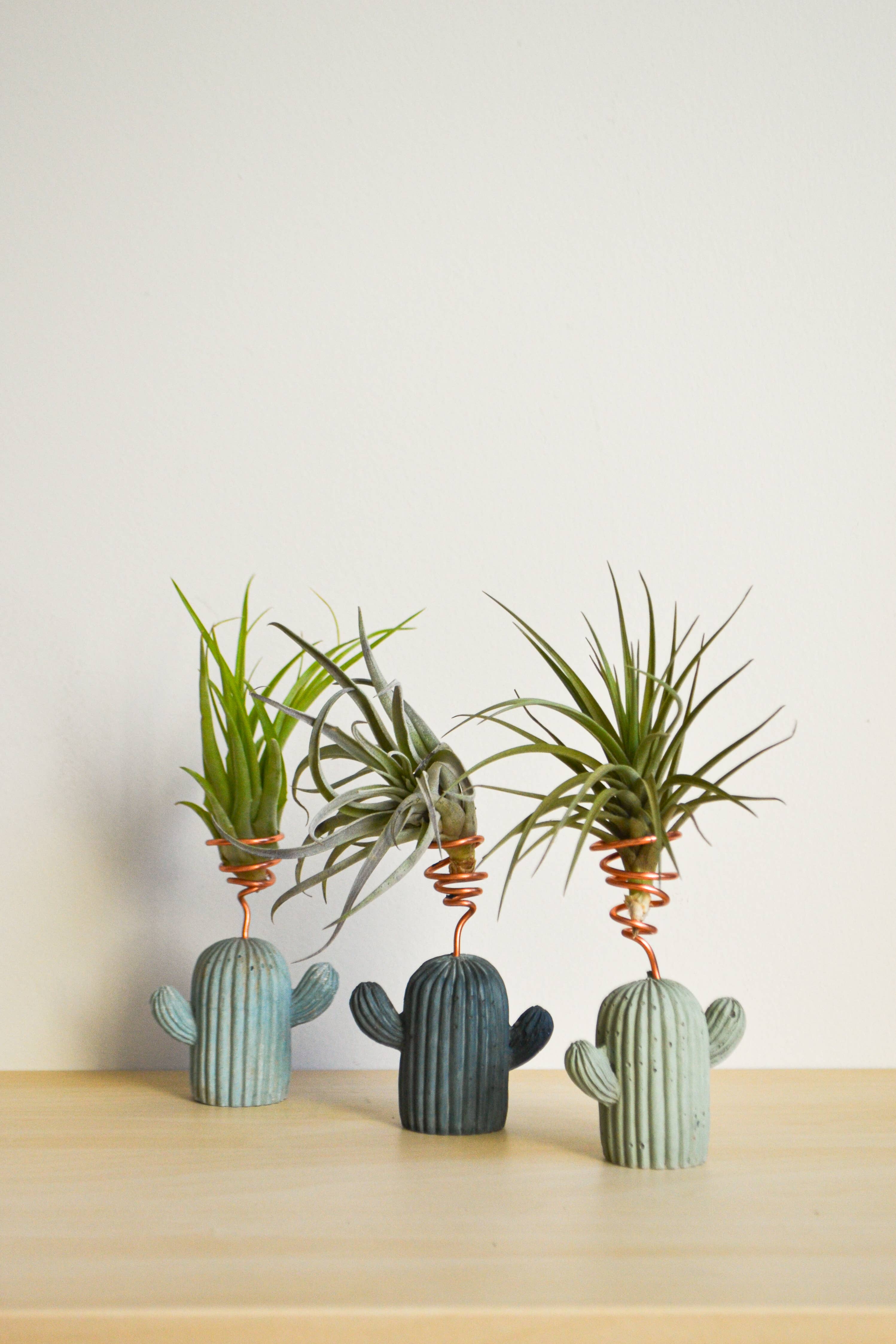 LindaMakess - Wholesale Plant Pot - Small Cactus Airplant Holder4