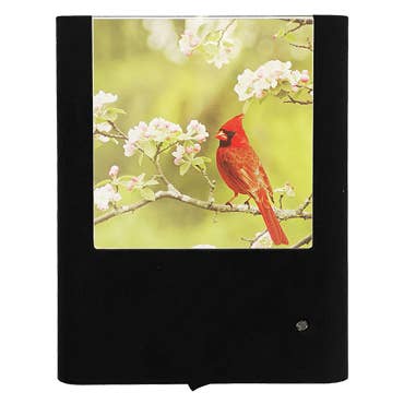 Red Cardinal on Cherry Blossom for wholesale by Nightlight Studio