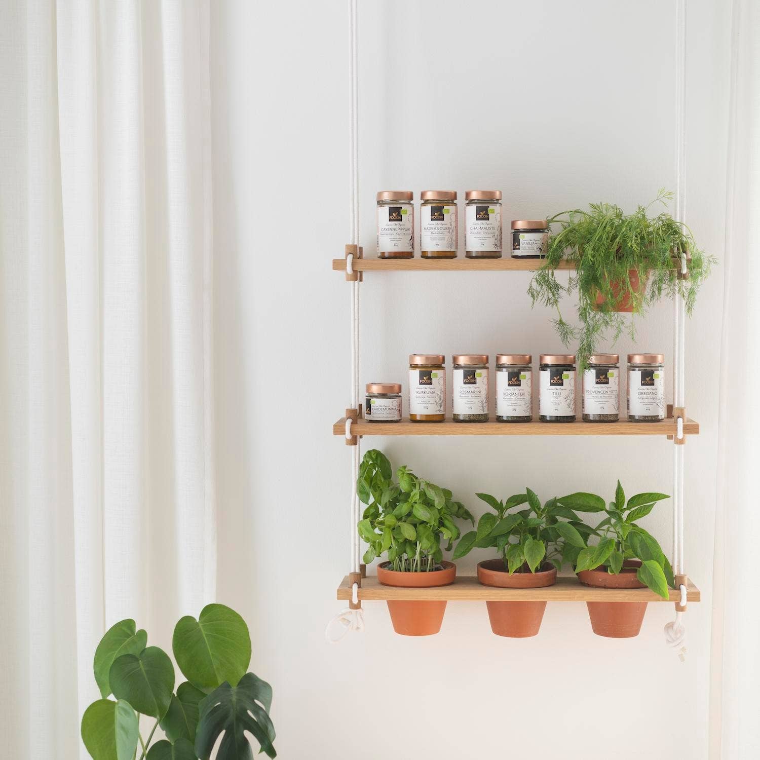 Foodin – wholesale Torkad kryddblandning – Madras curry ekologisk 25 g2