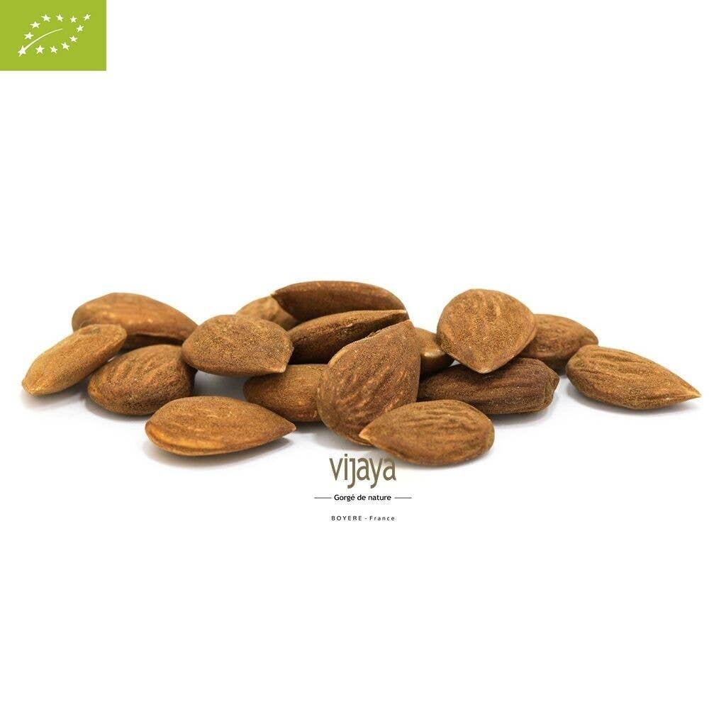 VIJAYA - SAS J.L. BOYERE - Wholesale Nuts - Almond Kernels - SPAIN - 11/14mm - 10 Kg - Organic*1