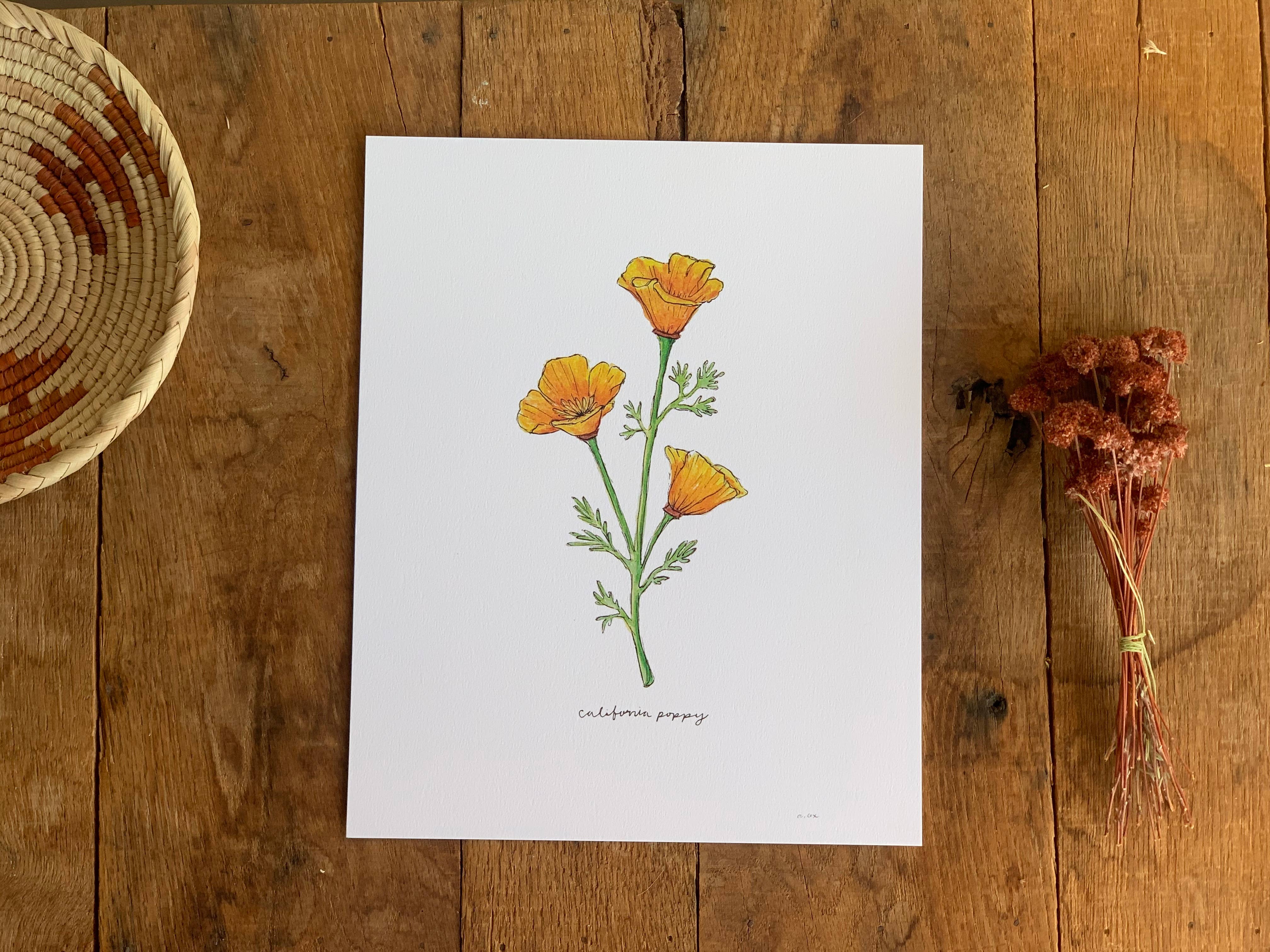 Little Salt Wagon - Wholesale Art Print - California Golden Poppy Wildflower Art Print Home Wall Decor2