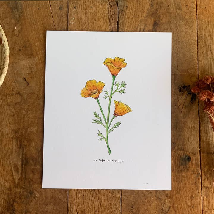 Little Salt Wagon - Wholesale Art Print - California Golden Poppy Wildflower Art Print Home Wall Decor2