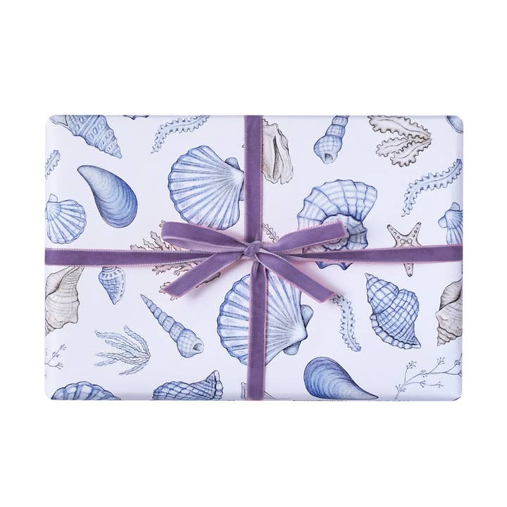 Papel de envolver Shell para venta al por mayor de Lottie Murphy