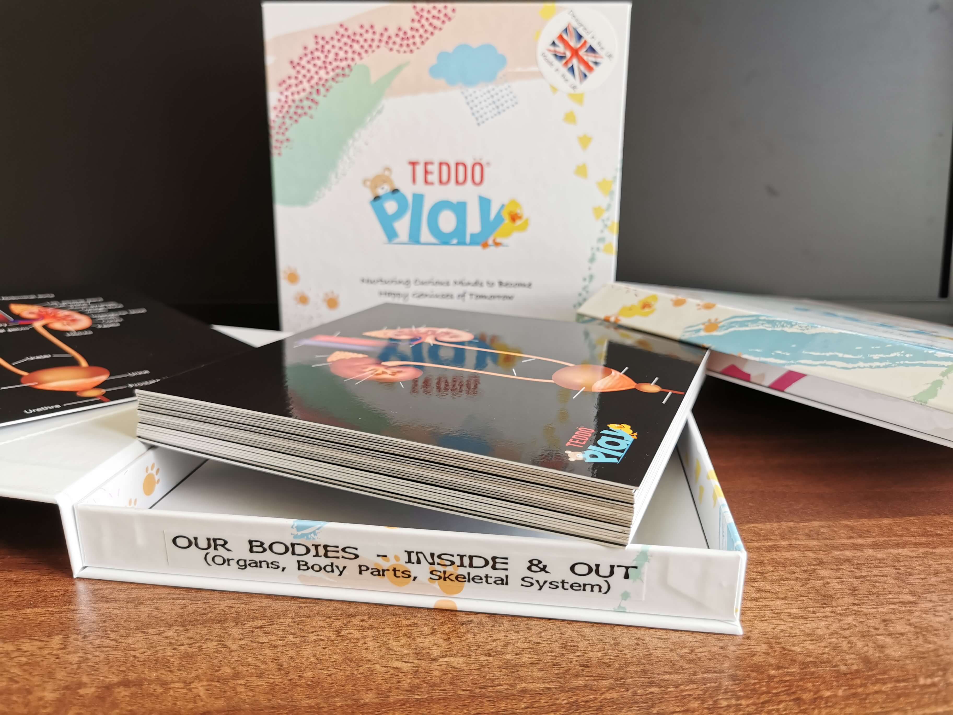 Teddo Play – Großhandel Lernkarten – Kind & Baby – Schließen Sie die pädagogischen Geschenke der menschlichen Anatomie+Werbegeschenke ab4
