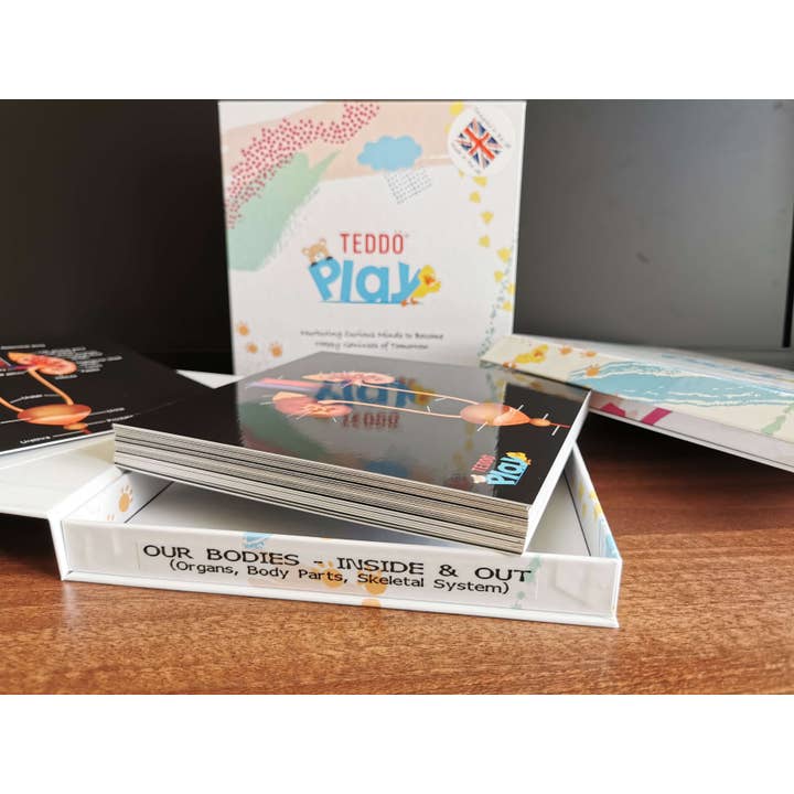 Teddo Play – Großhandel Lernkarten – Kind & Baby – Schließen Sie die pädagogischen Geschenke der menschlichen Anatomie+Werbegeschenke ab4