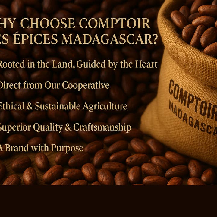 Comptoir Des Epices Madagascar - Wholesale Baking Chocolate - 62.5 kg | Superior Madagascar COCOA Beans5