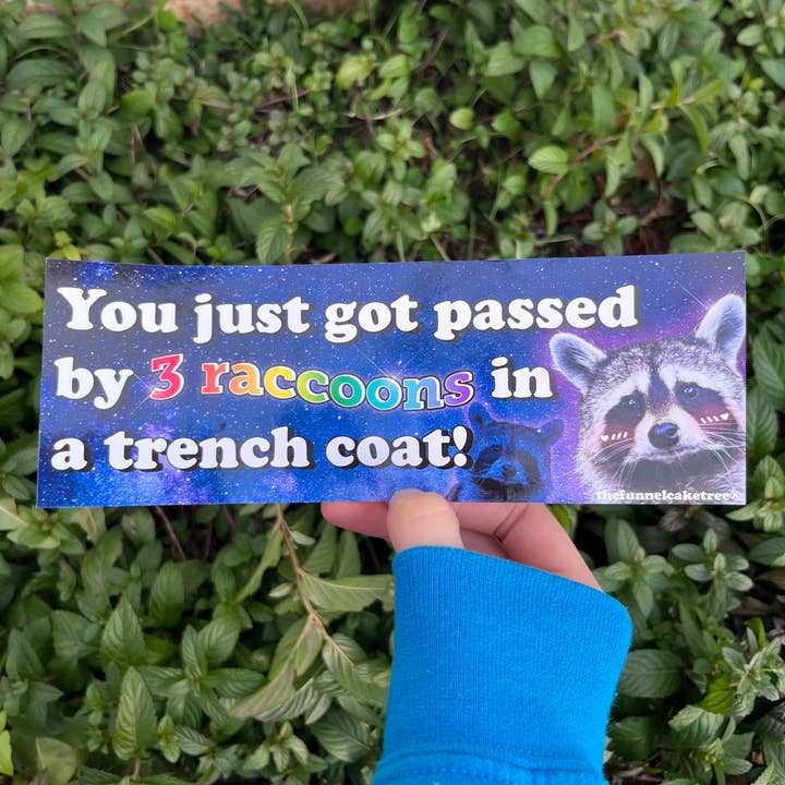 Autocolante Engraçado - Foste Ultrapassado por 3 Guaxinins por atacado de The Funnel Cake Tree