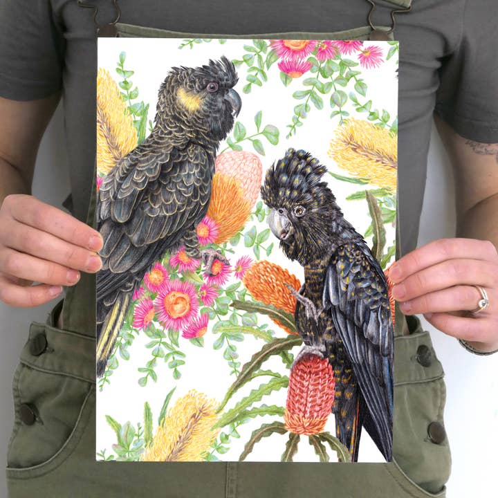 Black Cockatoos - 'Blooming Hues' Art Print for wholesale by Kayla Reay Design