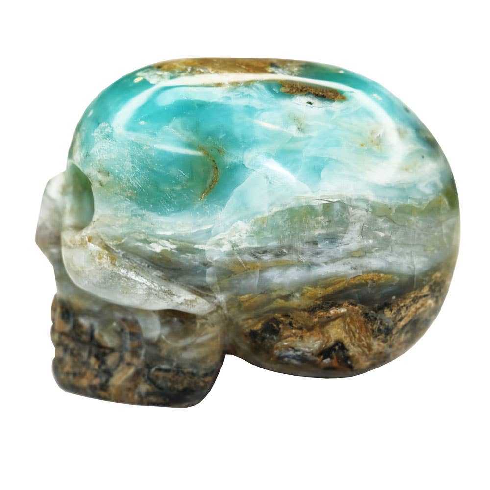 France Mineraux - Wholesale Spiritual Stone/Crystal - Andean Blue Opal Skull - Size L1