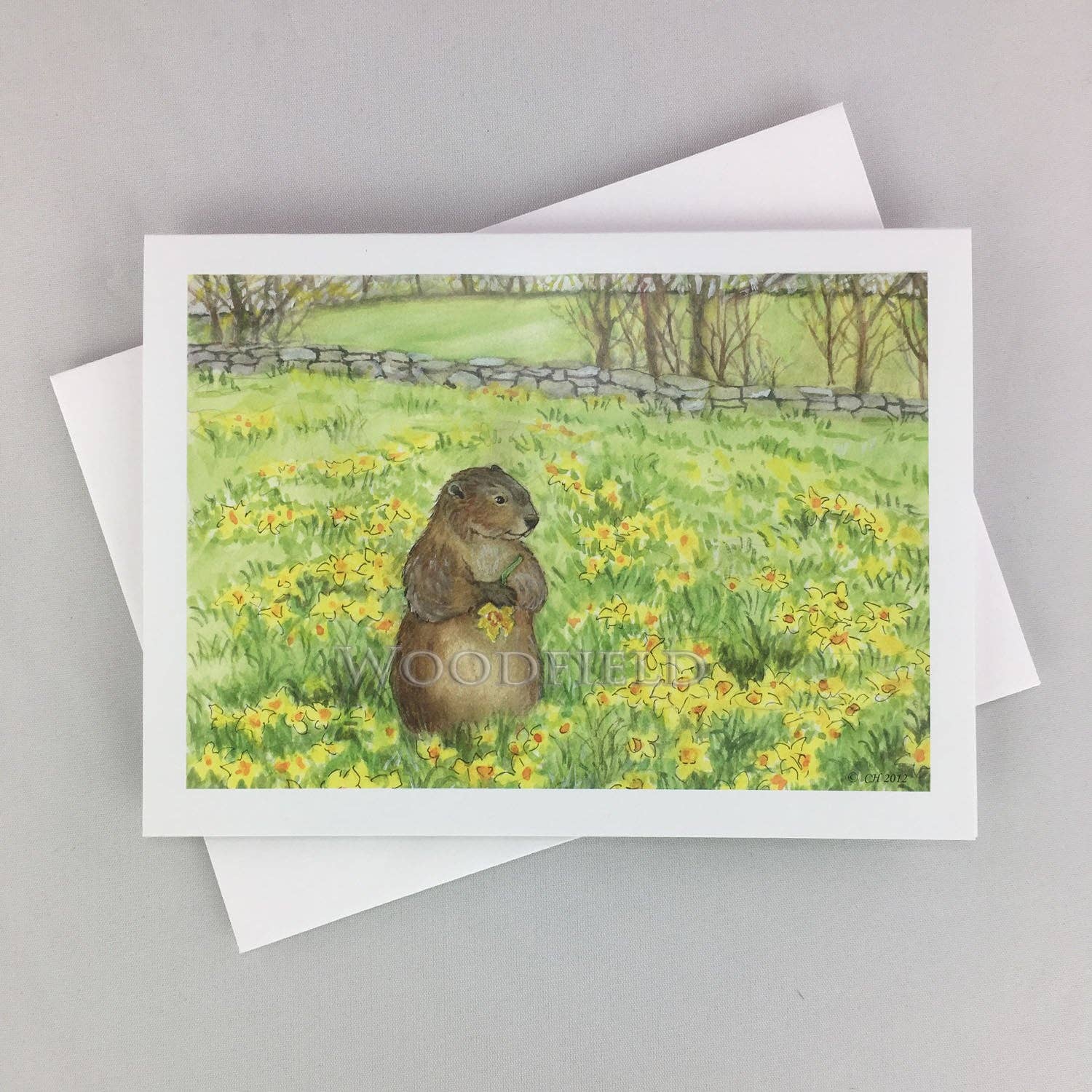 Woodfield Press - Wholesale Stationery/Notecard Set - #23 - Daffodil Meadow Notecard1